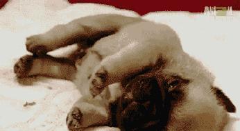 梦游鬼压床有时抖一下,睡觉时候鬼压床嘴抖动说不出话