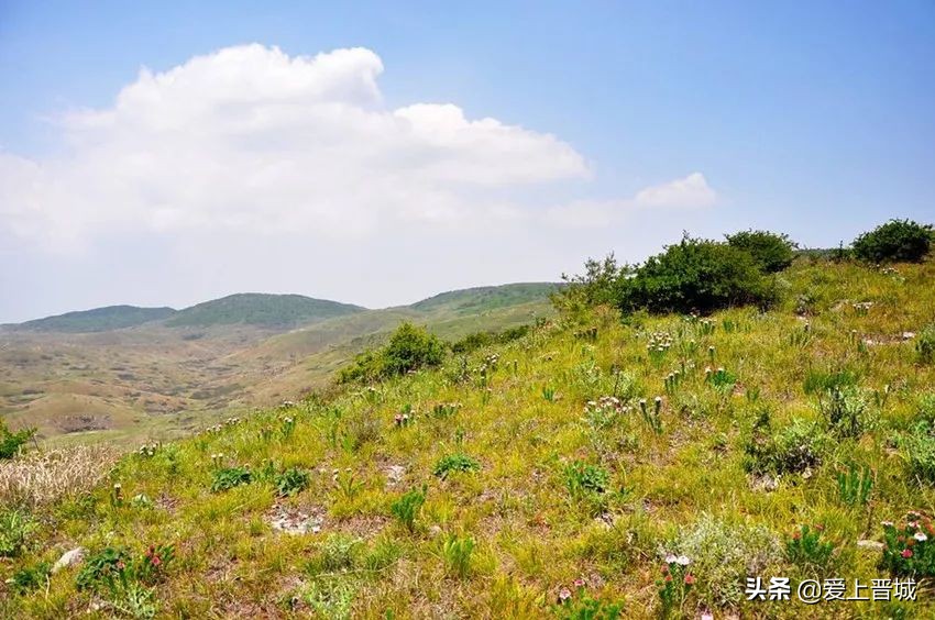 晋城有个啥山,晋城有什么山有名