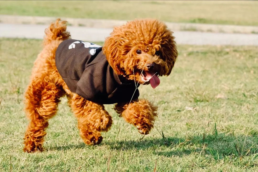 宝安市区中心,走进宝安中心区