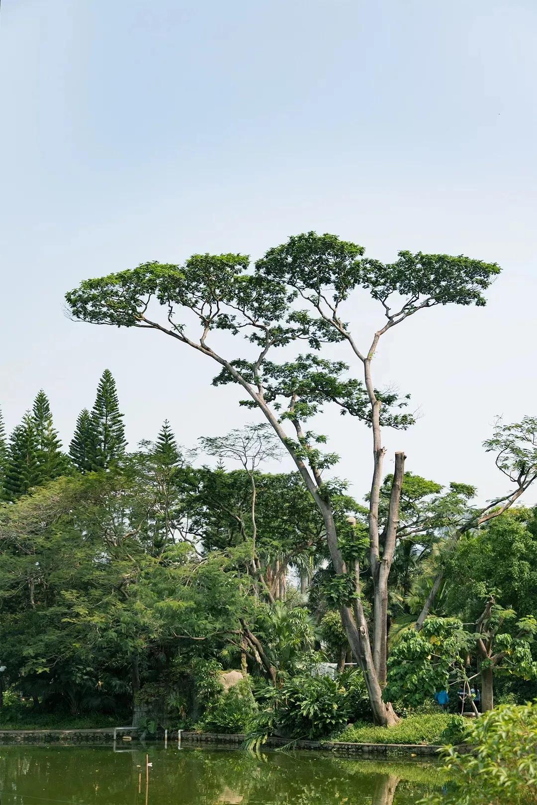 9号线上有什么景点吗,9号线游玩攻略大全