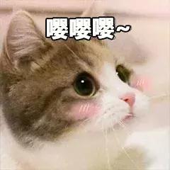 最新彩妆单品推荐,初春彩妆流行趋势