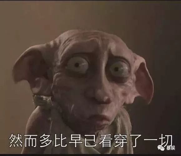 所谓哈迷的狂欢不过是失望之极下的*慰自**｜影评