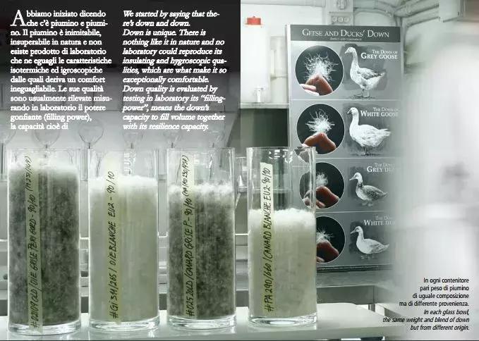 加拿大鹅羽绒服各版本的区别,除了加拿大鹅还有什么名牌羽绒服