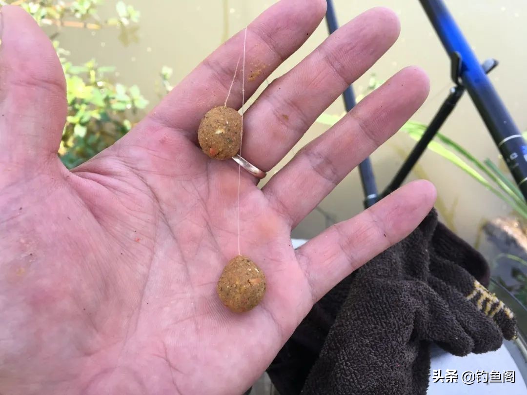 冬天如何打重窝守大鱼,冬天大鱼打重窝好还是不打好