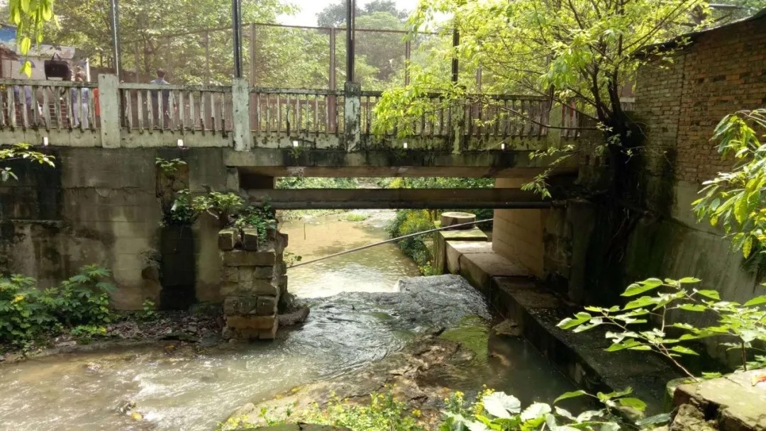 扫街日记100篇,扫街日记视频