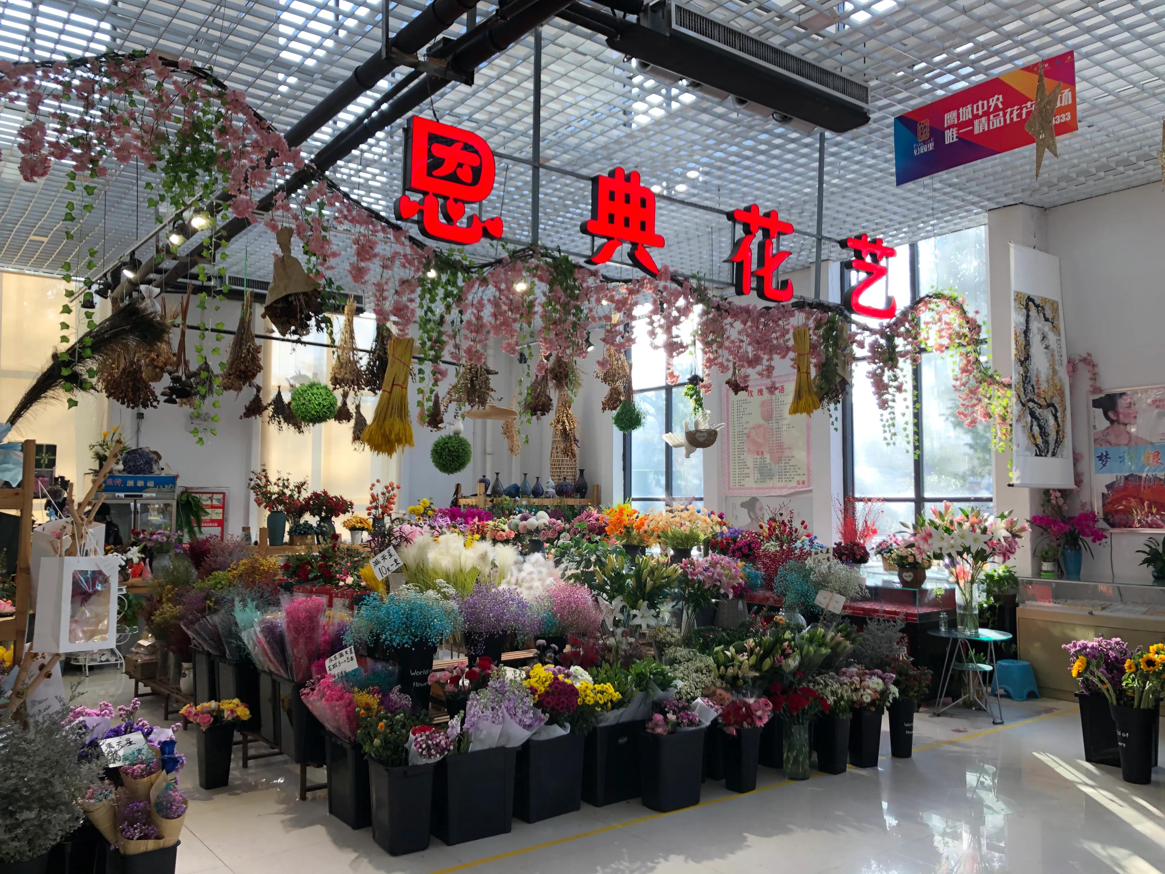 平顶山河滨公园旅游攻略,平顶山森林公园游记