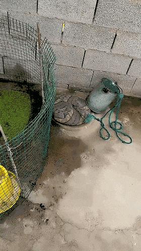 把车标全部抠掉违法吗,把车标抠下来清灰