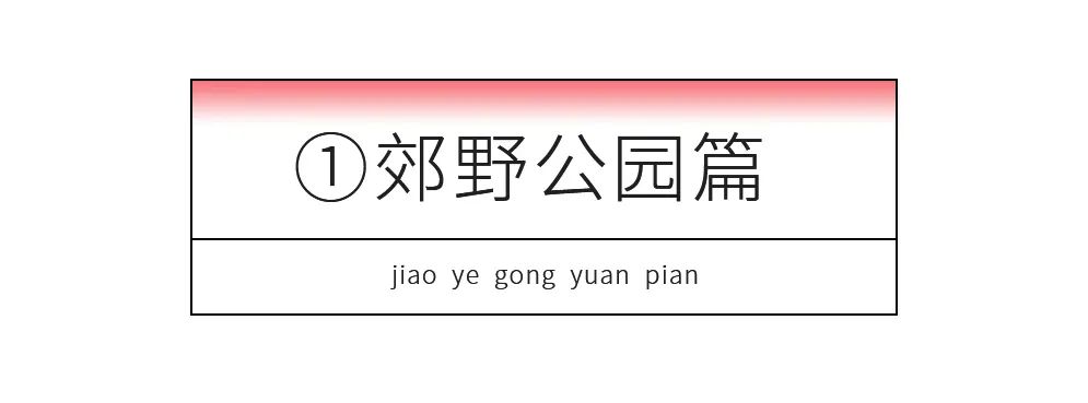 上海国庆小众旅行攻略路线图,上海出发国庆旅游攻略推荐