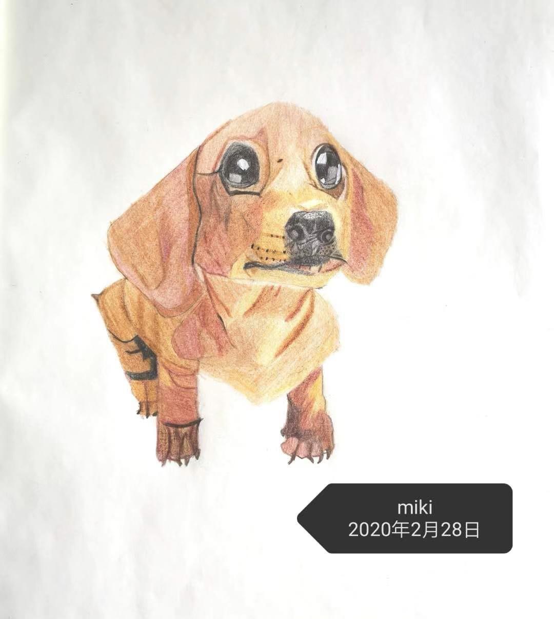 怎样和抑郁症的人交流,家人怎样和抑郁症病人沟通交流