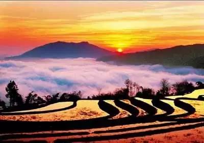 云南适合深秋游玩的地方,云南的秋天适合去哪些景点