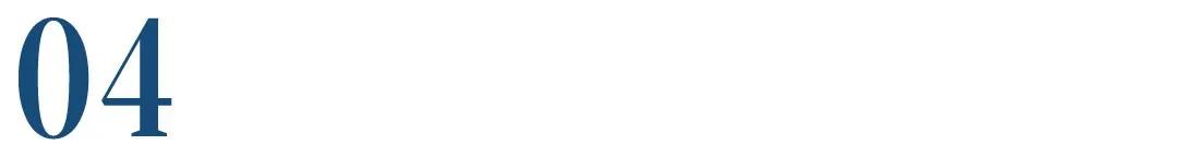 关于宠物店的选品和陈列,低端宠物店选品