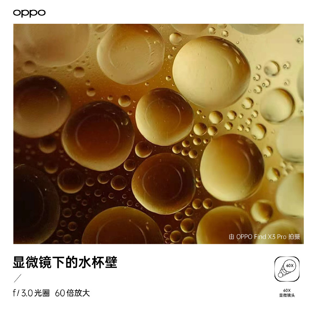 微观世界大自然,微观世界的神奇视频