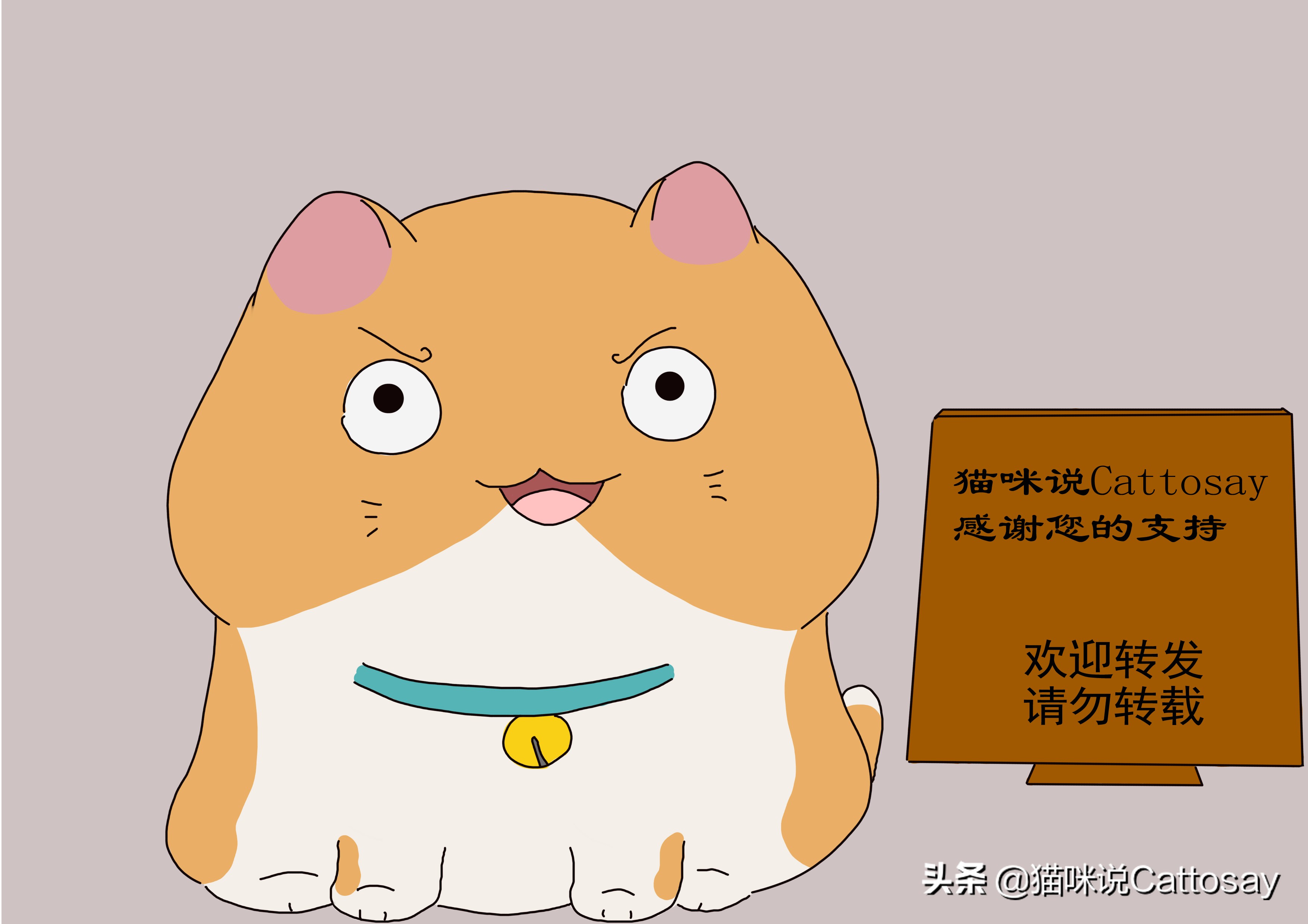 猫变得很有攻击性怎么办,猫突然变得很凶攻击主人还能养吗