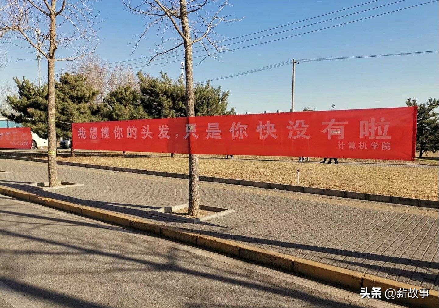 高校硬核开幕,高校硬核开幕式天地会