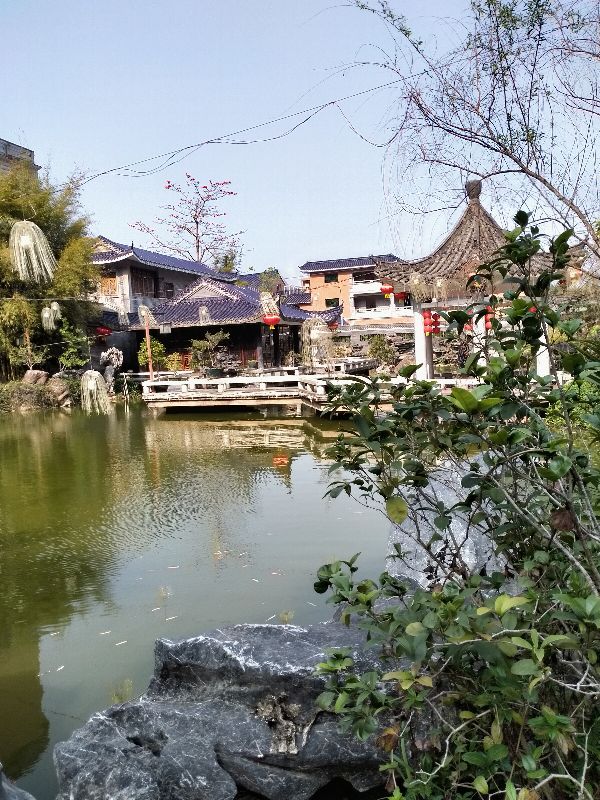 海丰莲花山度假村可以免费进吗,汕尾莲花山度假村游玩攻略