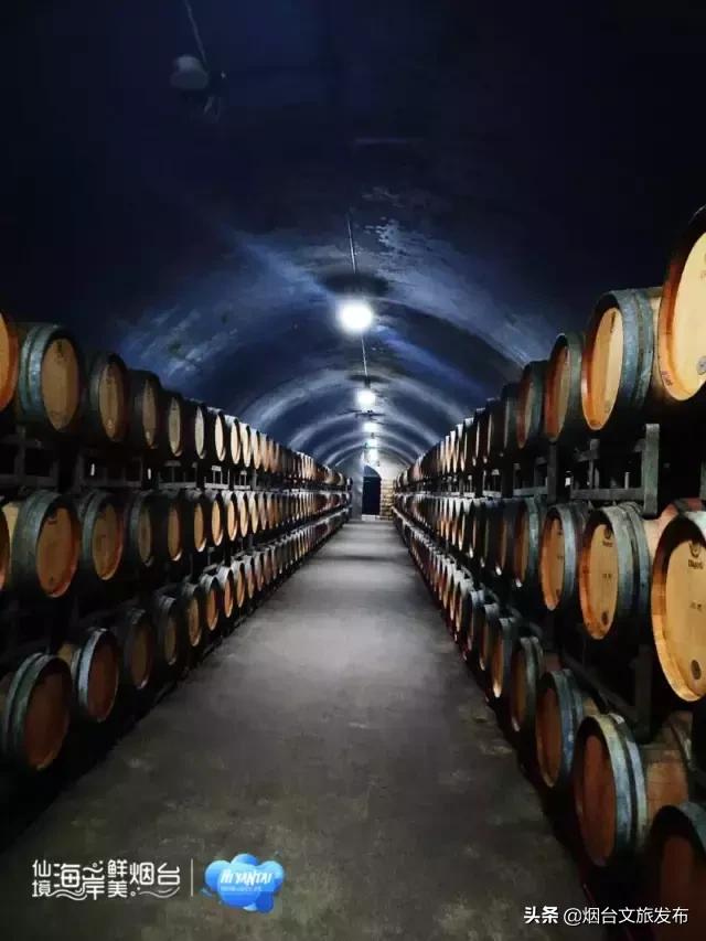 一个小时看见一片海，30分钟摆满一桌鲜