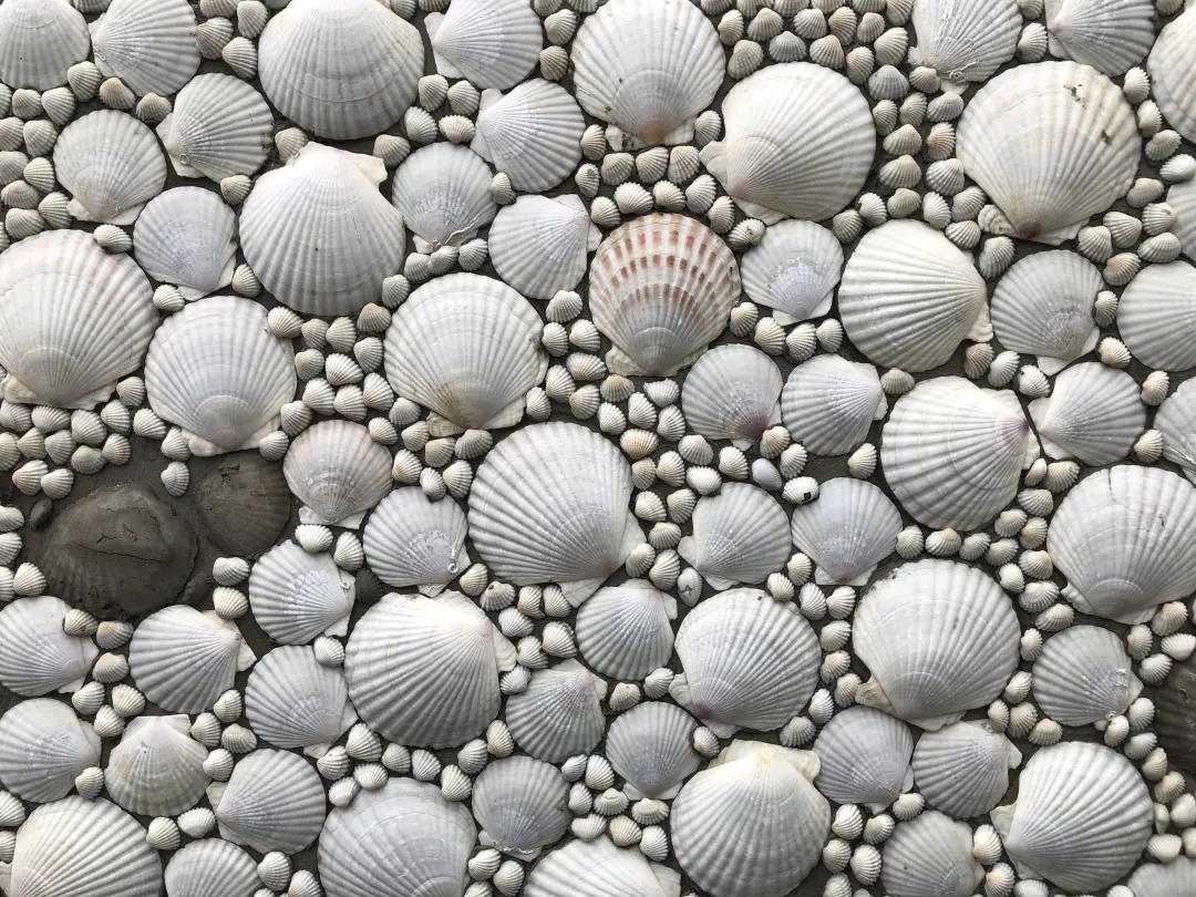 上海花博会讲解,上海花博会有什么