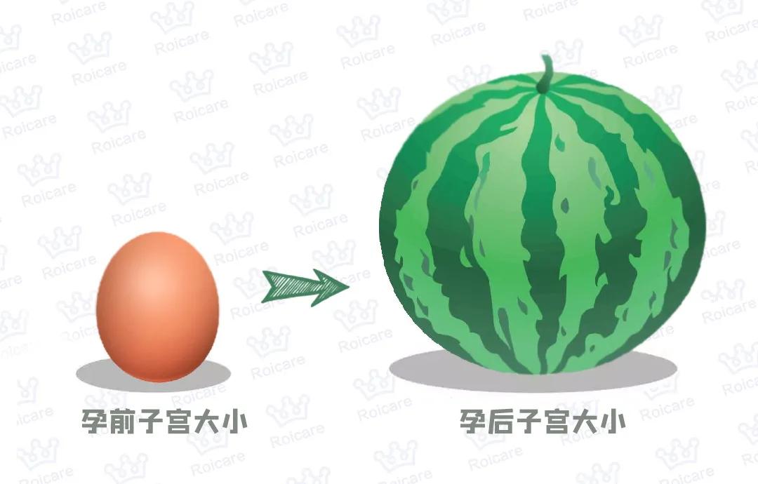 产后漏尿怎么避免尴尬,产后三年漏尿最有效的恢复方法