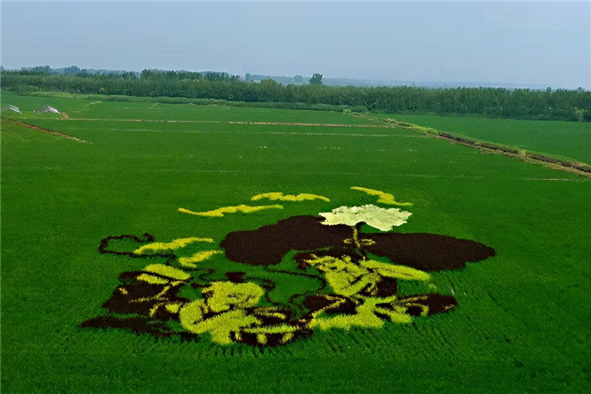 盘锦大洼上口子村,盘锦市大洼区2021年都哪些村搬迁