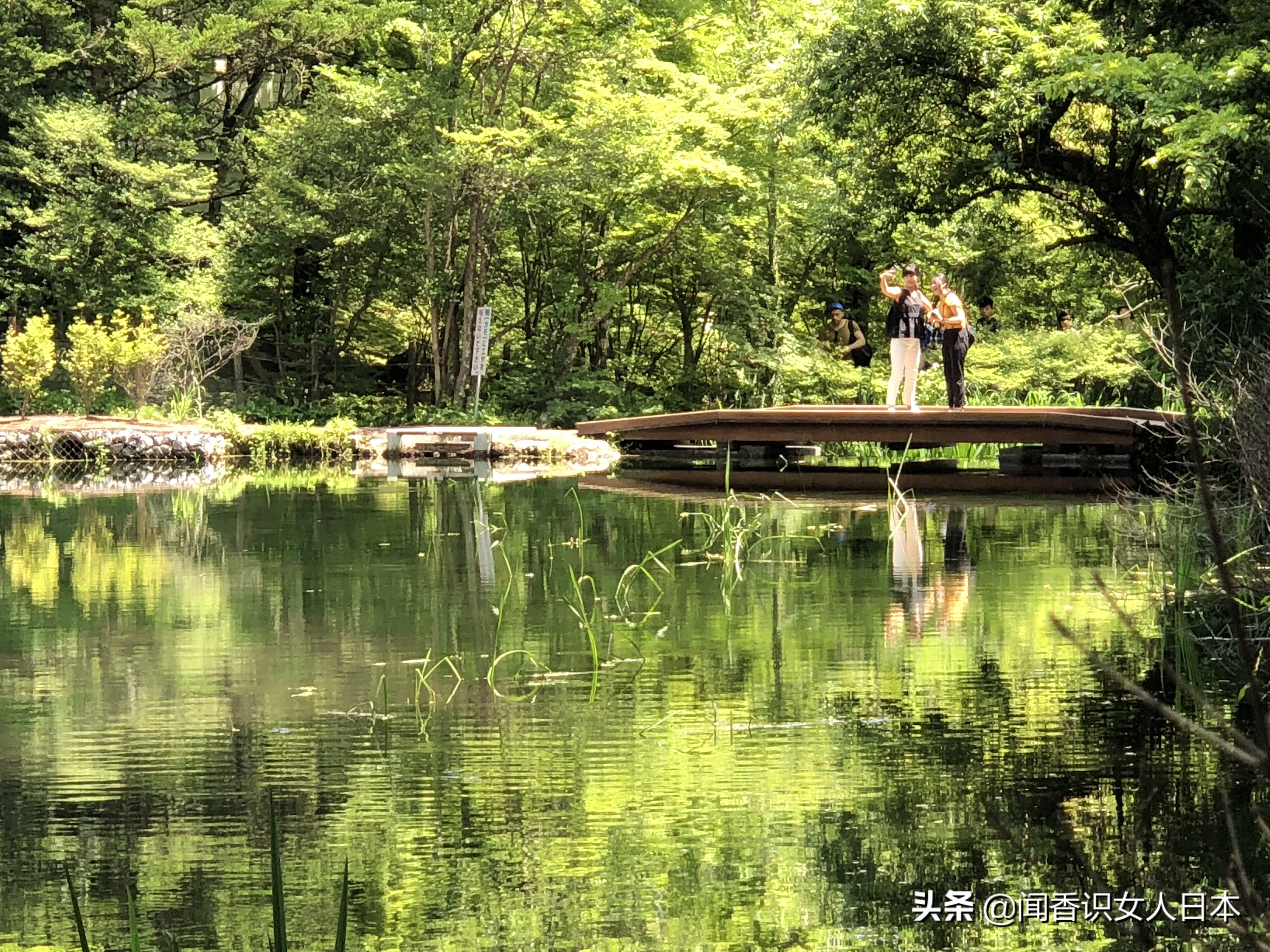 长野好玩的地方,日本长野旅游攻略