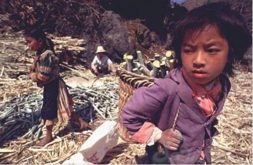 你宿舍真的安全吗,你家的锅安全吗