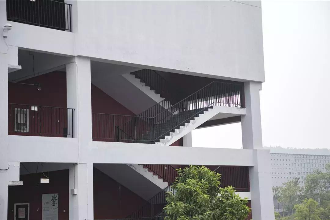 深圳这所大学也太安逸了!