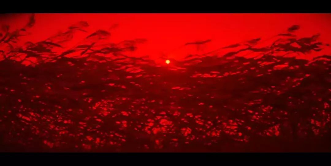 圈内导演如何评价张艺谋,如何评价张艺谋英雄