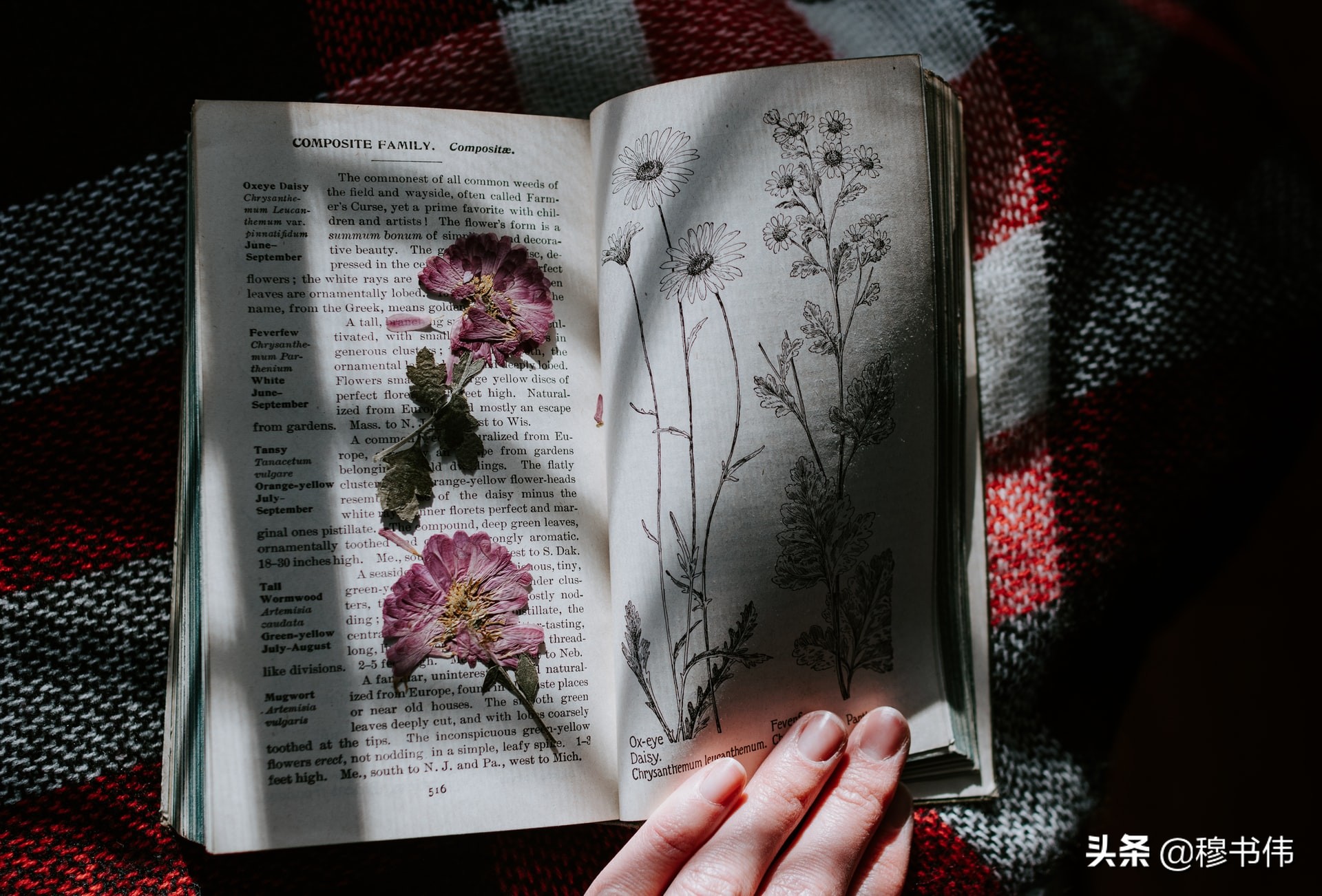 物联网mqtt从搭建到实战教程,mqtt物联网使用协议