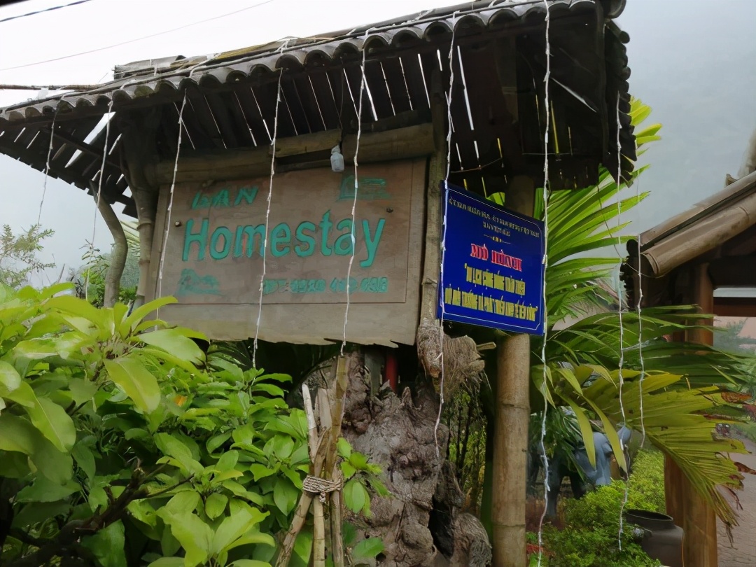 在香港上国际学校是什么体验,香港的大学本科就读体验