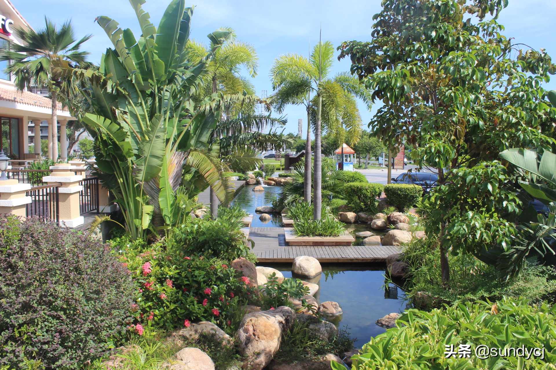 小奔奔,长安新能源奔奔自驾游西藏