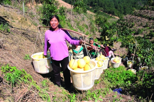 广西村官带领村民致富,广西80后农民致富