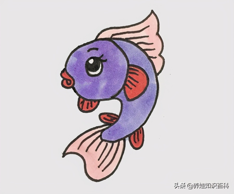 小鱼怎么画才好看呢,小鱼怎么画小学生二年级上册