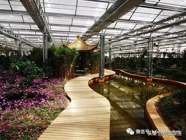 忻州保德好玩嘛,山西保德去哪玩