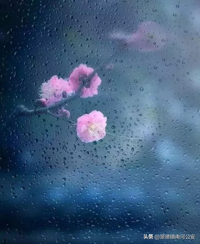 沾衣欲湿杏花雨古诗背诵,沾衣欲湿的古诗