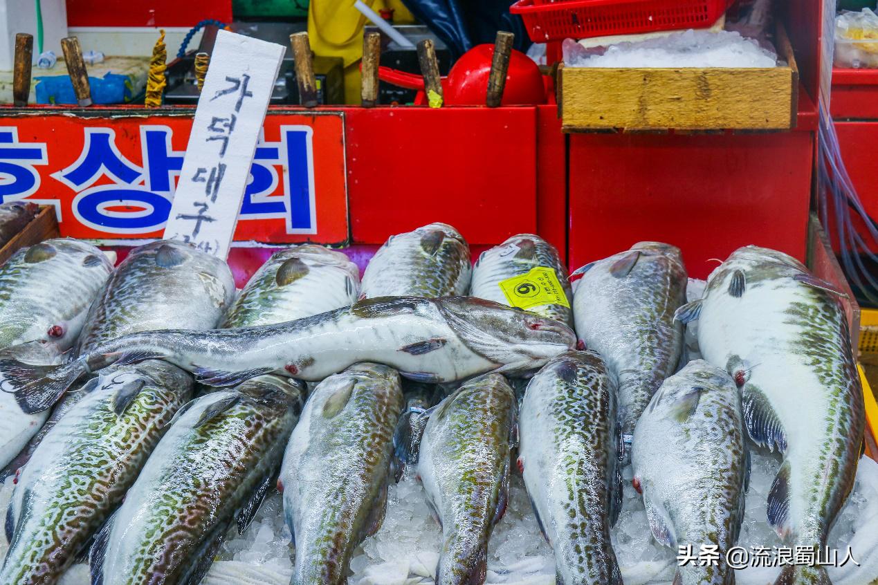 初见韩国歌曲,初见韩国电影