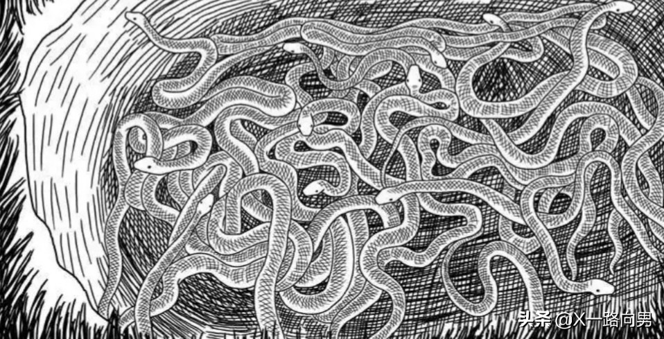 女子深夜被蛇宠幸后,竟怀孕了,这样的事实叫她如何接受