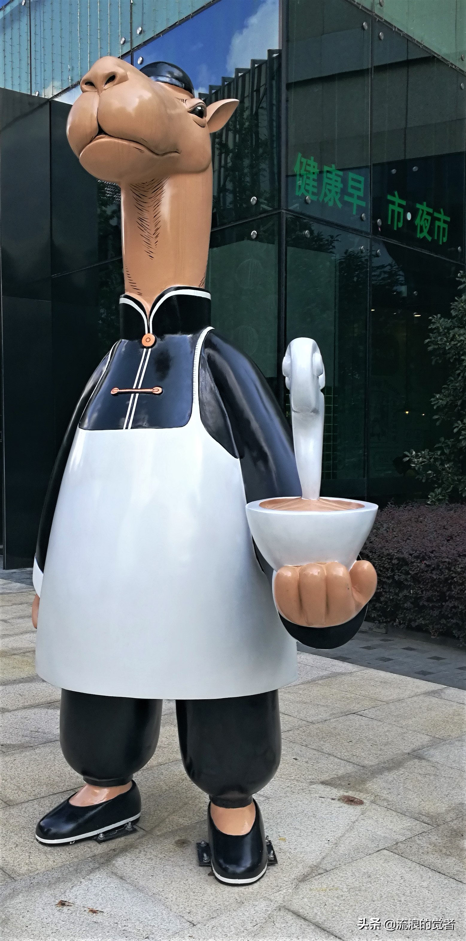 闹中取静的风景,闹中取静怡然自得