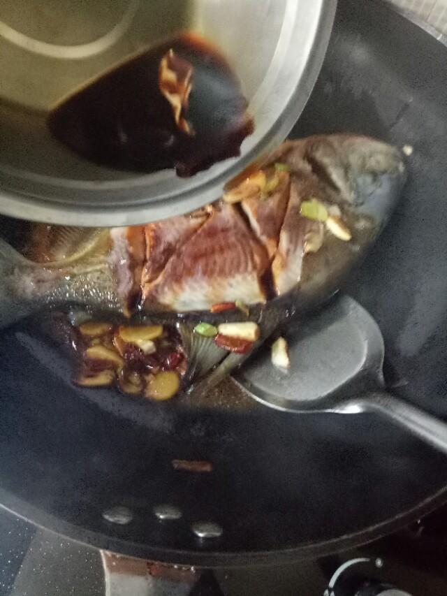 红烧海鲳鱼教程,红烧鲳鱼的做法视频王刚