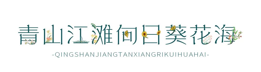 抓住春天的尾巴鸟语花香,抓住花海的尾巴