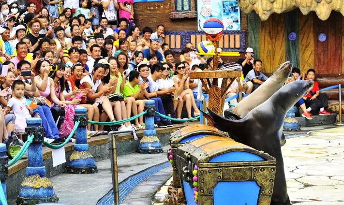 发现海洋魅力的景点,发现海洋