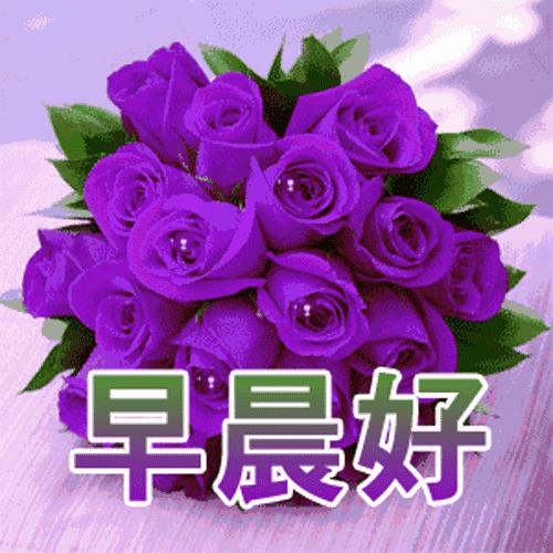 周一早安问候语表情,周一早上好问候语表情
