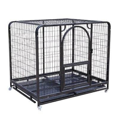 小型犬幼犬到家后的正确流程,新犬到家第一天老叫