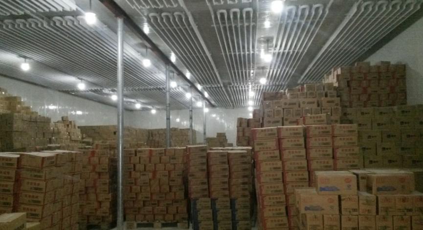 杨梅采收期间要注意什么,杨梅采摘后管理技术