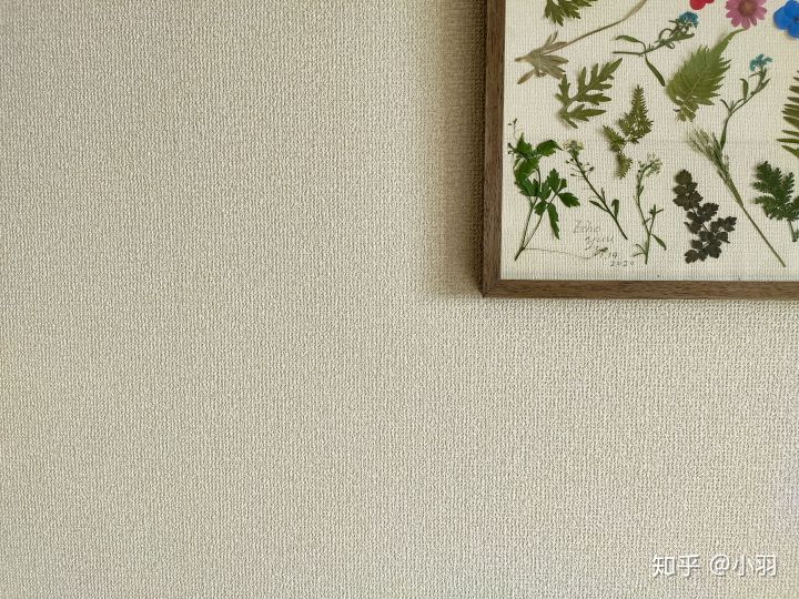 喜欢宅的人改造一个实现梦想的家,喜欢宅在家的人怎么过