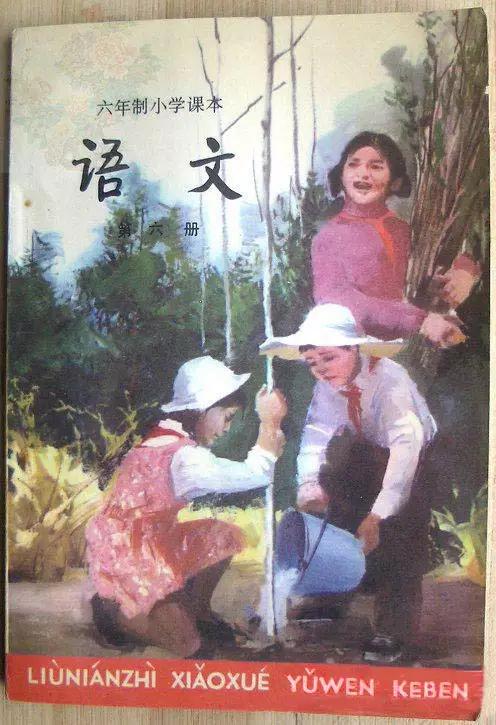 童年语文课本,80后的童年回忆之语文课本