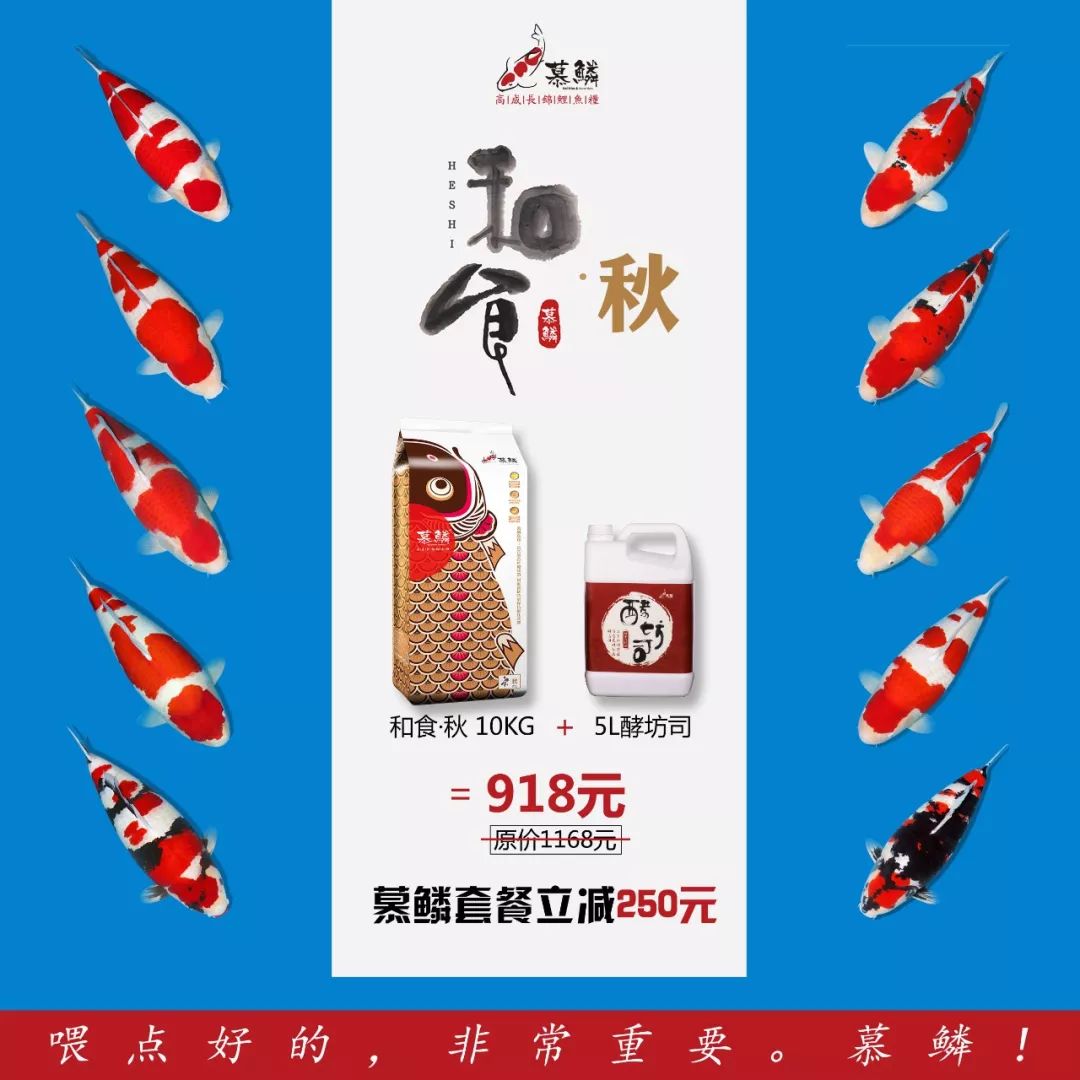 新鱼到家几天后进行双杀,新鱼到家鱼翻肚但是没死怎样救活