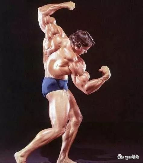 施瓦辛格晚年肌肉一塌糊涂,施瓦辛格老爷子视频