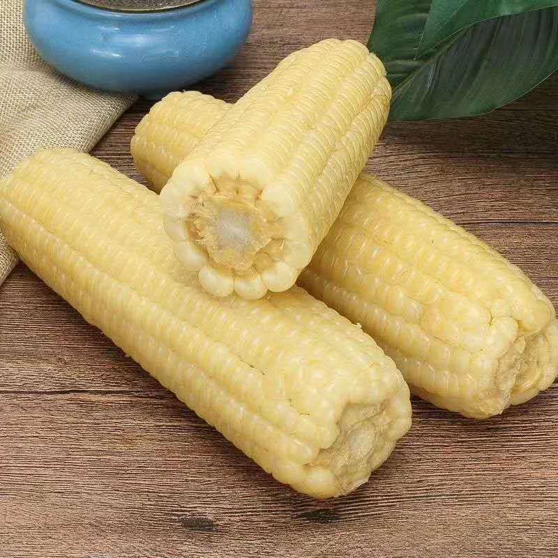 广西农特产品网网友是怎样分析米豆果蔬优质好吃原因的