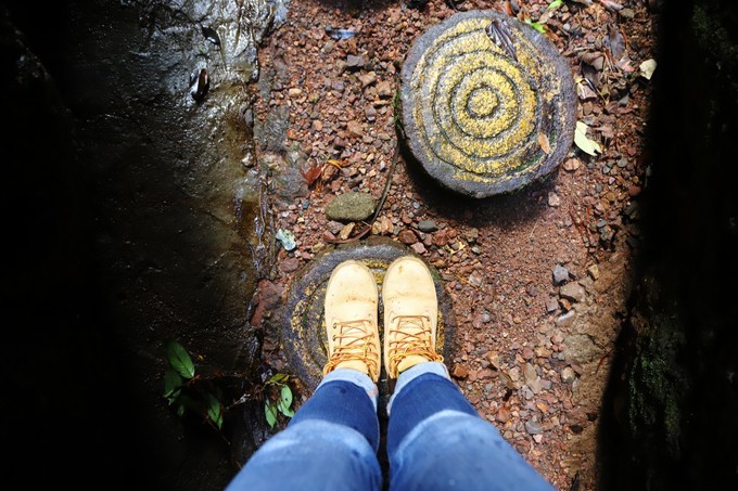 梅州采茶,梅州采茶体验