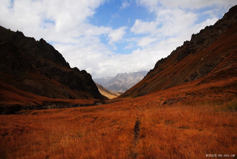 狼c调简谱教唱,狼c